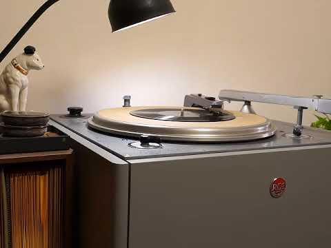 Alma Rotter — Got Everything / Alma Rotter