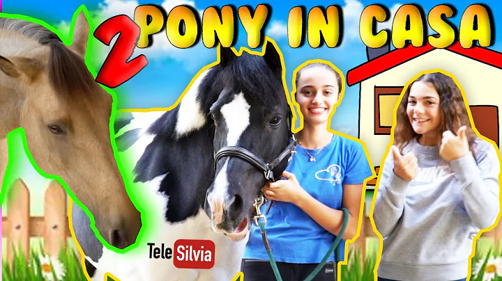 COME CONVINCERE I GENITORI A TENERE DUE PONY IN CASA