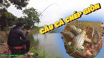 CÂU CÁ CHÉP GIÒN - LẦN ĐẦU TRẢI NGHIỆM CÂU CÁ CHÉP GIÒN TẠI HỒ CÂU VÂN HỒNG, BA VÌ - PHÚC HÀ FISHING