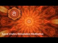 Sacral Chakra Stimulation Meditation | Healing &amp; Balancing Music