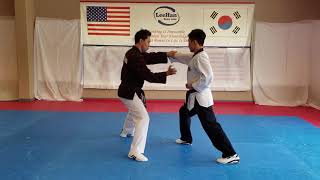 Taekwondo Black Belt Chapter 1 Self Defense - LeeHan Martial Arts