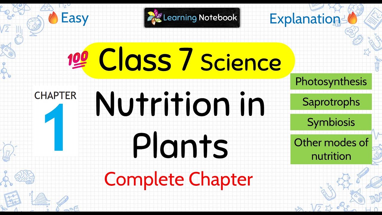 Class 7 Science Nutrition in Plants - Class 7 science chapter 1 - YouTube