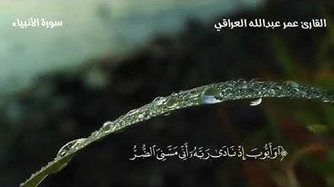 القارئ عمر عبدالله  بشک ژ سورتا الانبیاء