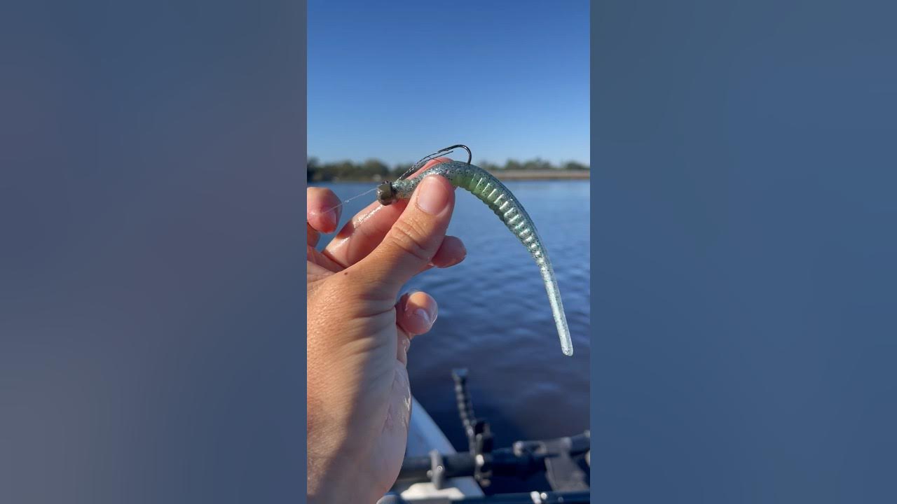 The Trout Trick by Z man works! zman floridafishing floridafish