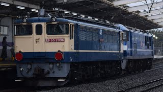 10/25 8764レ EF210-125+EF65-2096(ムド)