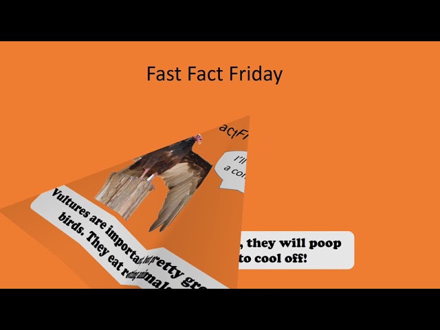 Fast Facts! 6/11/2021
