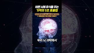 뇌를 5초 만에 쉬게 만드는 기적의 복식 호흡법