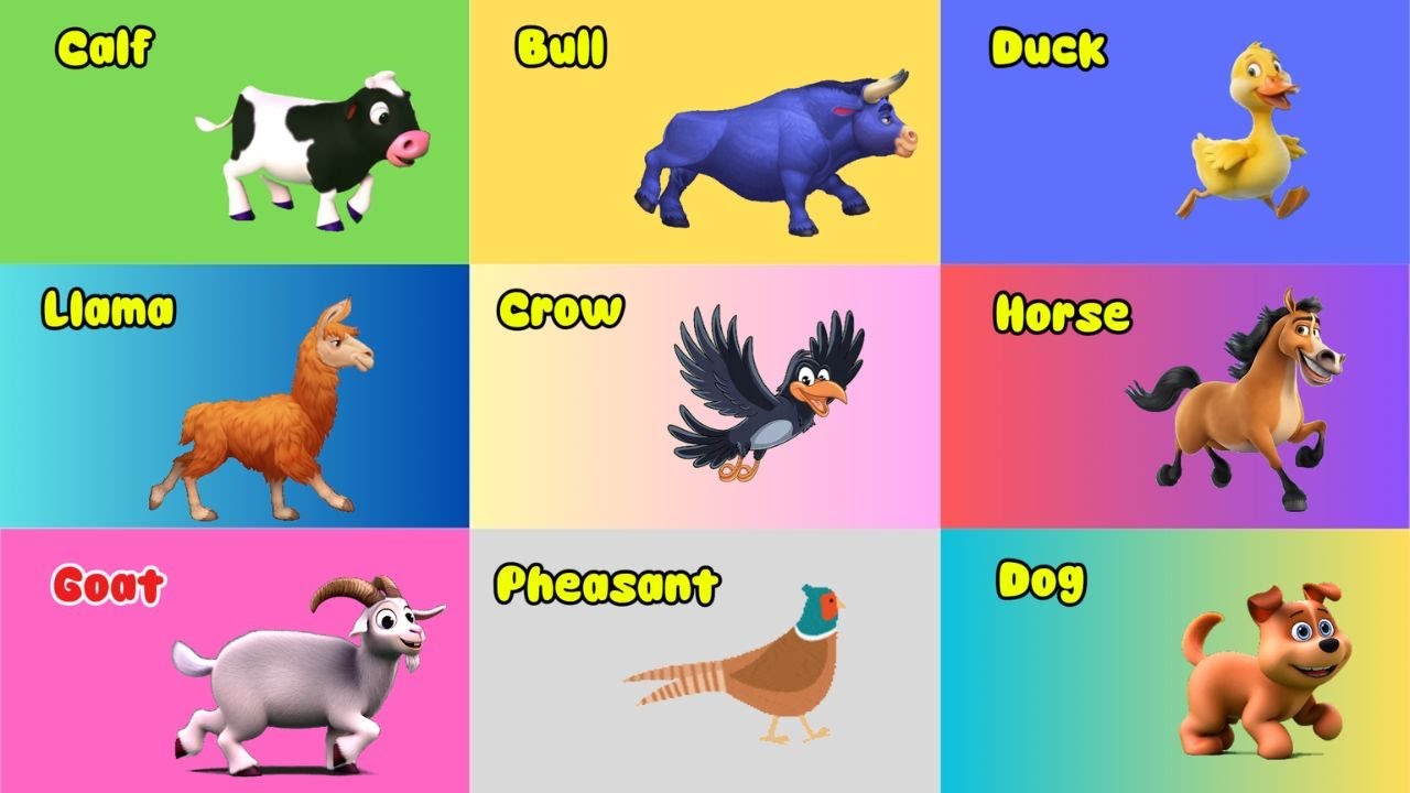 Farm Animal Sounds Song 070925| Trunky Kids TV | Nursery Rhymes