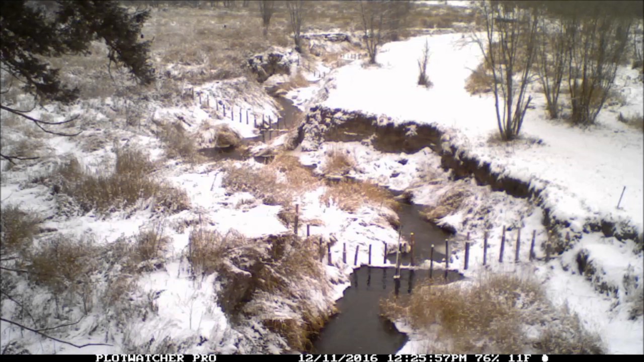 Triple Creek Time Lapse