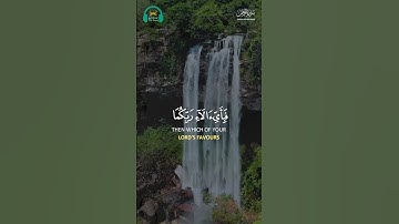 Surah Ar-Rahman (سورة الرحمن) | Peaceful Lofi Quran to Heal a Mind and Soul #relaxingquran #rahman
