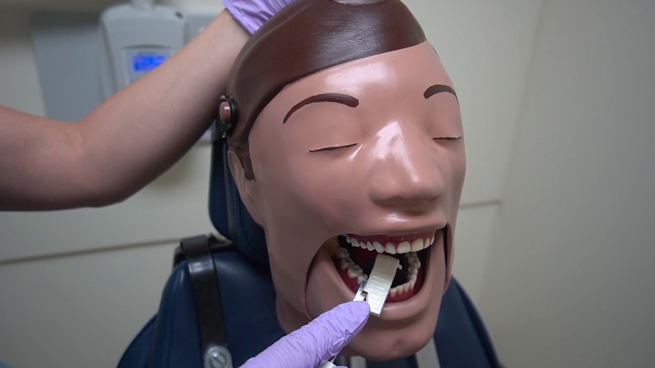 Dental Hygiene How to Take a Complete Series of Radiographs YouTube