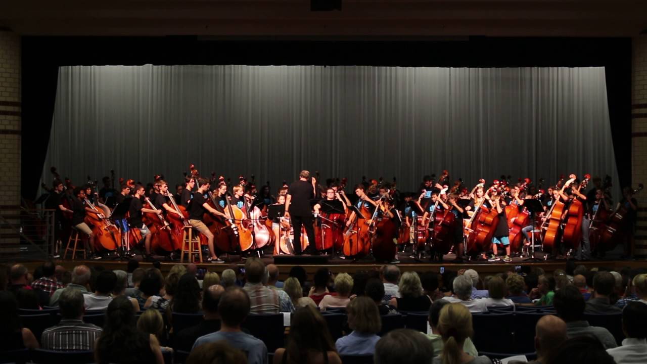 camera iphone 8 plus apk Bass Orchestra Fox and Goose