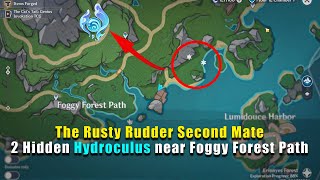 2 Hidden Hydroculus near Foggy Forest Path | The Rusty Rudder Second Mate