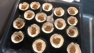 Covilhete de Vila Real