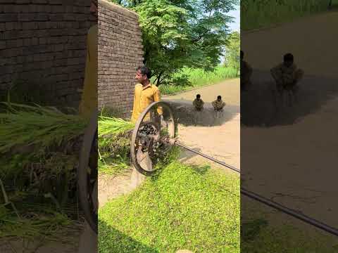 Yalla Bulls Starting Old Chaff Cutting Machine #shortsfeed #trending #shortvideo