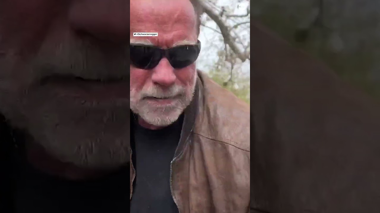 Arnold Schwarzenegger fills giant pothole in his Los Angeles neighborhood |  ABC News