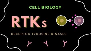 Receptor Tyrosine Kinases (RTKs) | Cell Signaling | Cell Biology | GATE/CSIR-NET