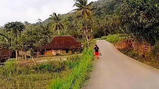 The atmosphere of the Javanese village as in 1990 is still beautiful and natural, living in the i...