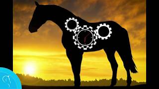 Equilume stable light french