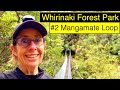 Exploring caves off the beaten track. Mangamate Loop, Whirinaki Forest #2 🥾 🌳🌿💦