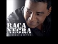 Raça Negra - Perdi Você (Letra)