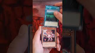 Day 42 - Ghost Rare Hunting