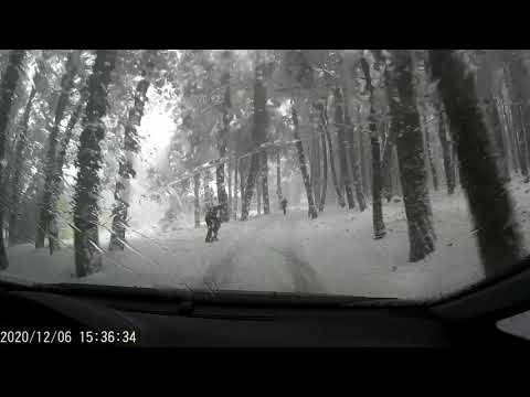 გასეირნება კოჯორში