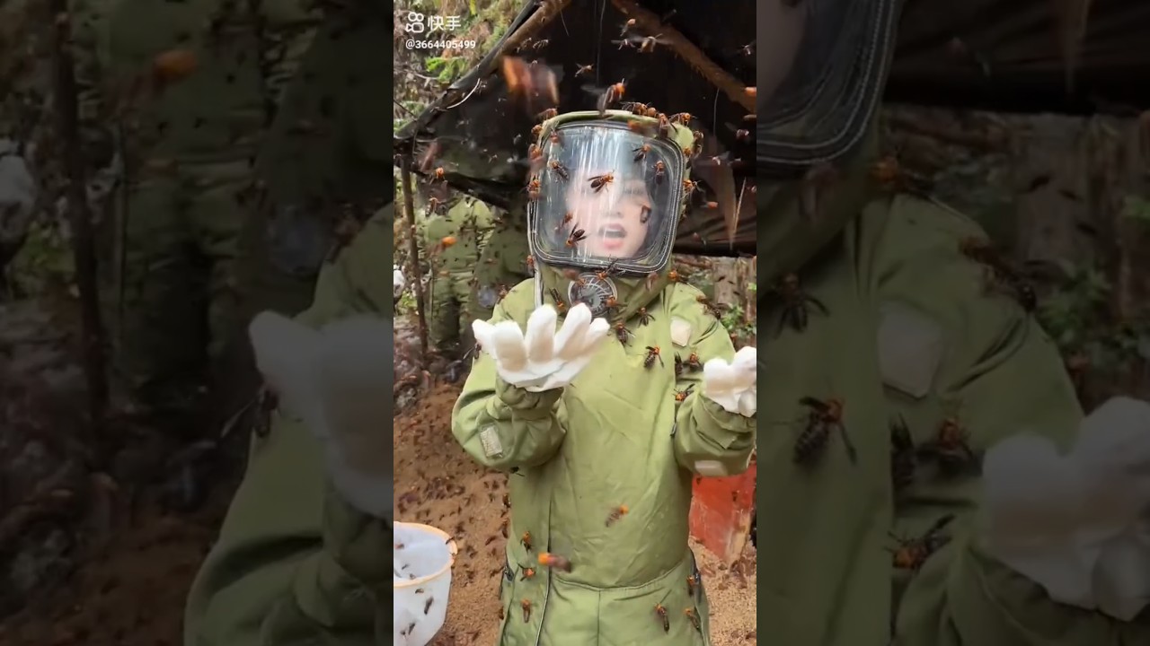 जापान से इंडिया 🙏🙏