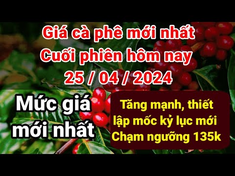 Giá cà phê hôm nay ngày 25 tháng 4 năm 2024 tăng lập mốc kỷ lục mới 