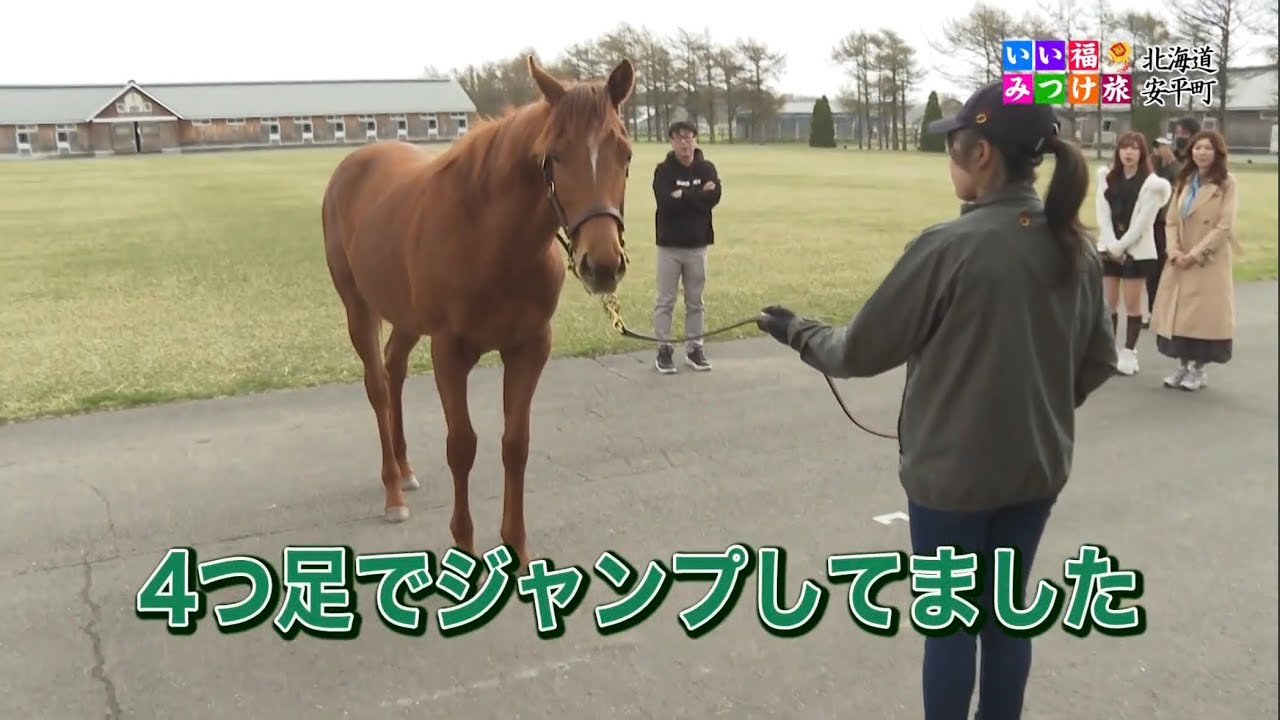 いい福みつけ旅 第324回 福盛訓之 橘ゆりか 長野せりな