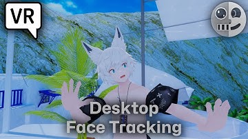 Desktop Face Tracking