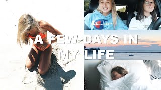 VLOG: a few days on cape cod with friends!
