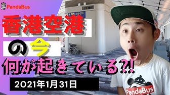 パンダバス香港 Youtube パンダバス香港 Youtube