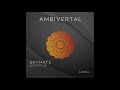 Skymate Simple Soul Original Mix Ambivertal mp3