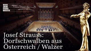 🎻 Josef Strauss: Dorfschwalben aus Österreich / Walzer op. 164 | WJSO_at ♪♫