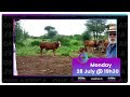 Ek Wil Boer | EPS 8 Promo