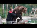 Почеши спинку медведю )