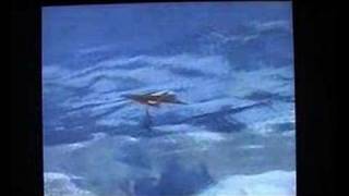 First loop  in a hang glider. Pilot Rudy Kishazy