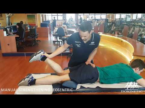 Hamstrings | Holistic Hamstrings Strengthening