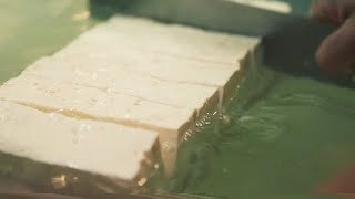 Tofu, यानी सोया पनीर (Soya Paneer) –How to make Tofu Paneer Full Making Process * Exclusive 4k Hindi