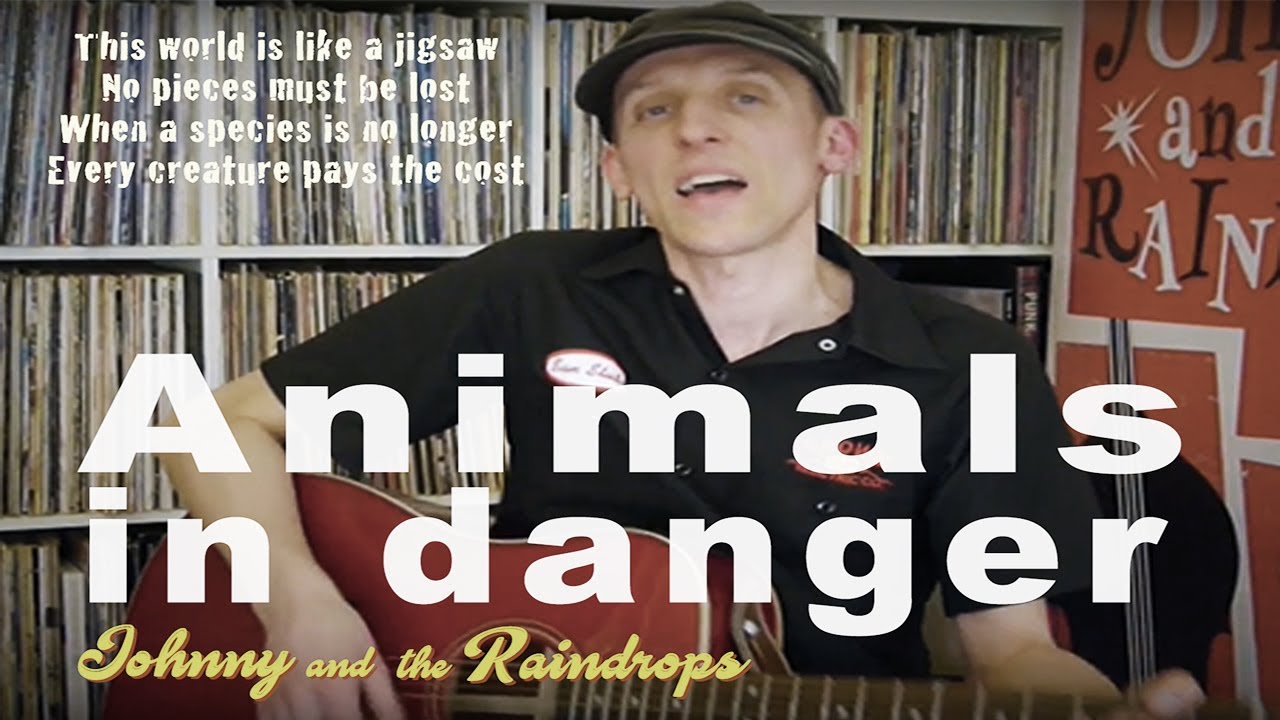 'Animals in danger' | Johnny & the Raindrops | Endangered animals song