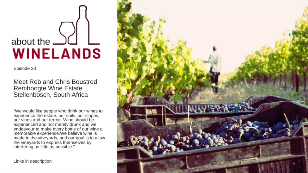 ABOUT THE WINELANDS #33 Meet Rob & Chris Boustred, REMHOOGTE WINE ESTATE, Stellenbosch, South Africa