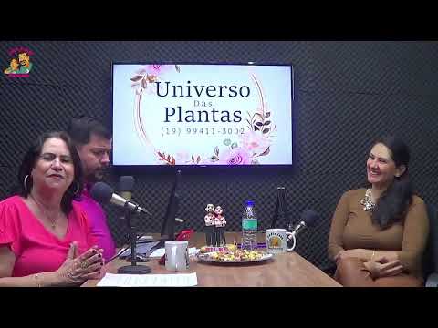 Podcast Bate-Papo entrevista Tatiana Biondo, professora de Educação Física – 30/10/2025.