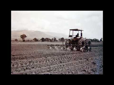 Video: Vars ongeploegde grond of maagdelike grond