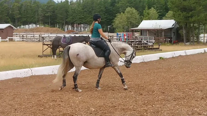 August FSHS Online Dressage Show.  Heidi Roy & Rio...