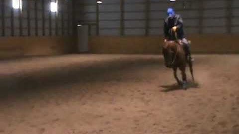 Super Smart Spook Filly SOLD