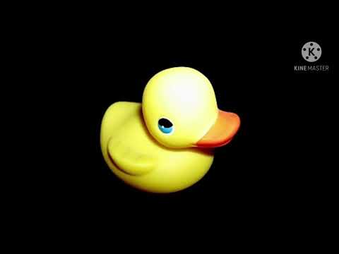 Suara Dari Scp 1356 Anomalous Ducks Suara Dari Scp 1356 Anomalous Ducks
