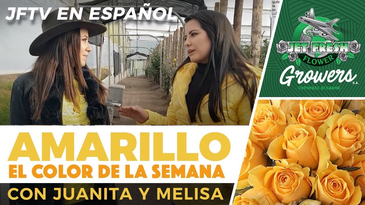 Jftv En Español Jffg Color De La Semana Amarillo Con Juanita Y Melisa