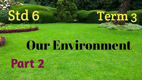 Std 6/ Science / Term 3/ Unit 4/ Our Environment / Part 2 @teacherswaves5033