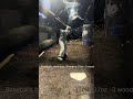 Sample Winter Hitting Training